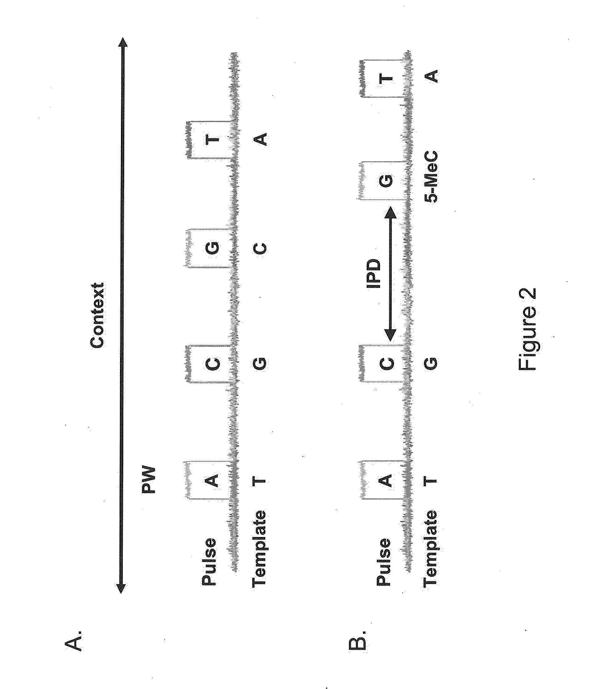 Classification of nucleic acid templates