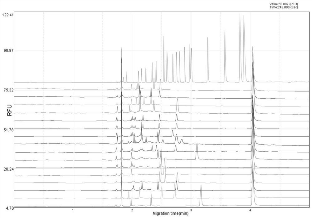 Fruit phytophthora infestans detection method and application thereof