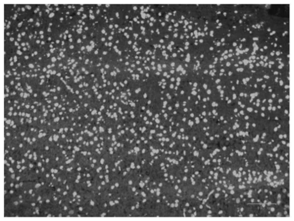 Stationary liquid applied to frozen section, preparation method of stationary liquid and method for preparing frozen section based on stationary liquid