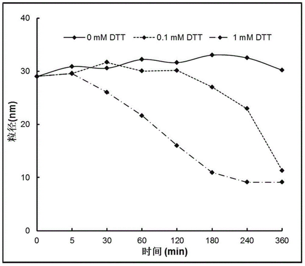 Reduced sensitive type polymer with effect of arginine membrane penetration as well as preparation method and application of reduced sensitive type polymer