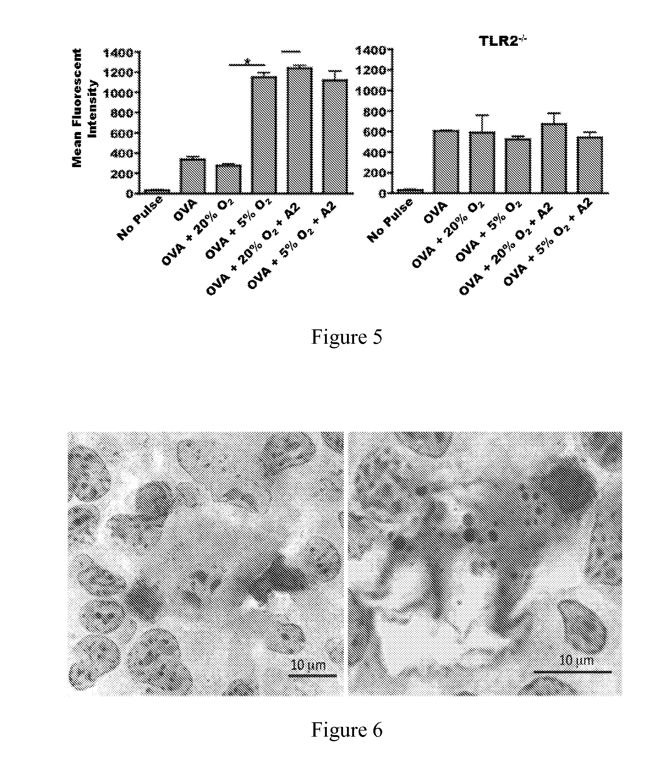 Annexin ii compositions and methods