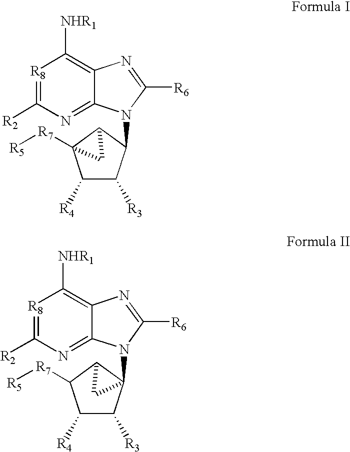 Methanocarba cycloakyl nucleoside analogues