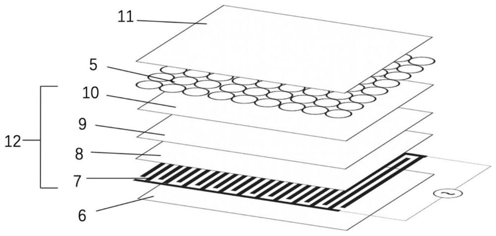 Liquid core microcapsule based on hydrogel as well as preparation method and application of liquid core microcapsule