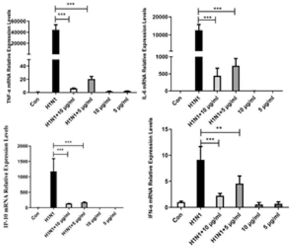 Application of isorhamnetin in treatment of influenza