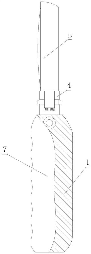 Thickness-adjustable auricular cartilage detacher