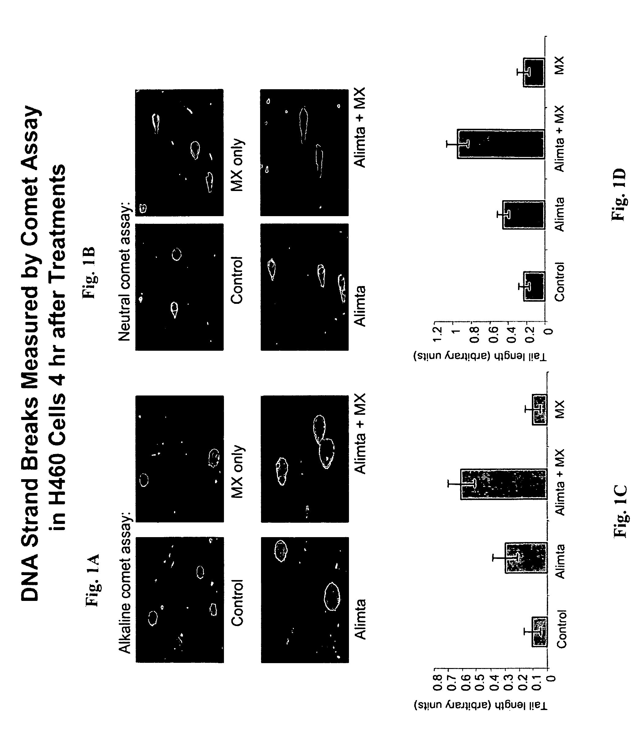 Antifolate agent combinations in the treatment of cancer