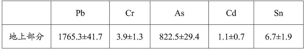 Application of sweet clover in remediation of heavy metal contaminated soil