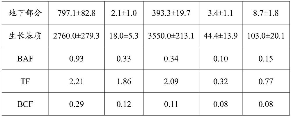 Application of sweet clover in remediation of heavy metal contaminated soil