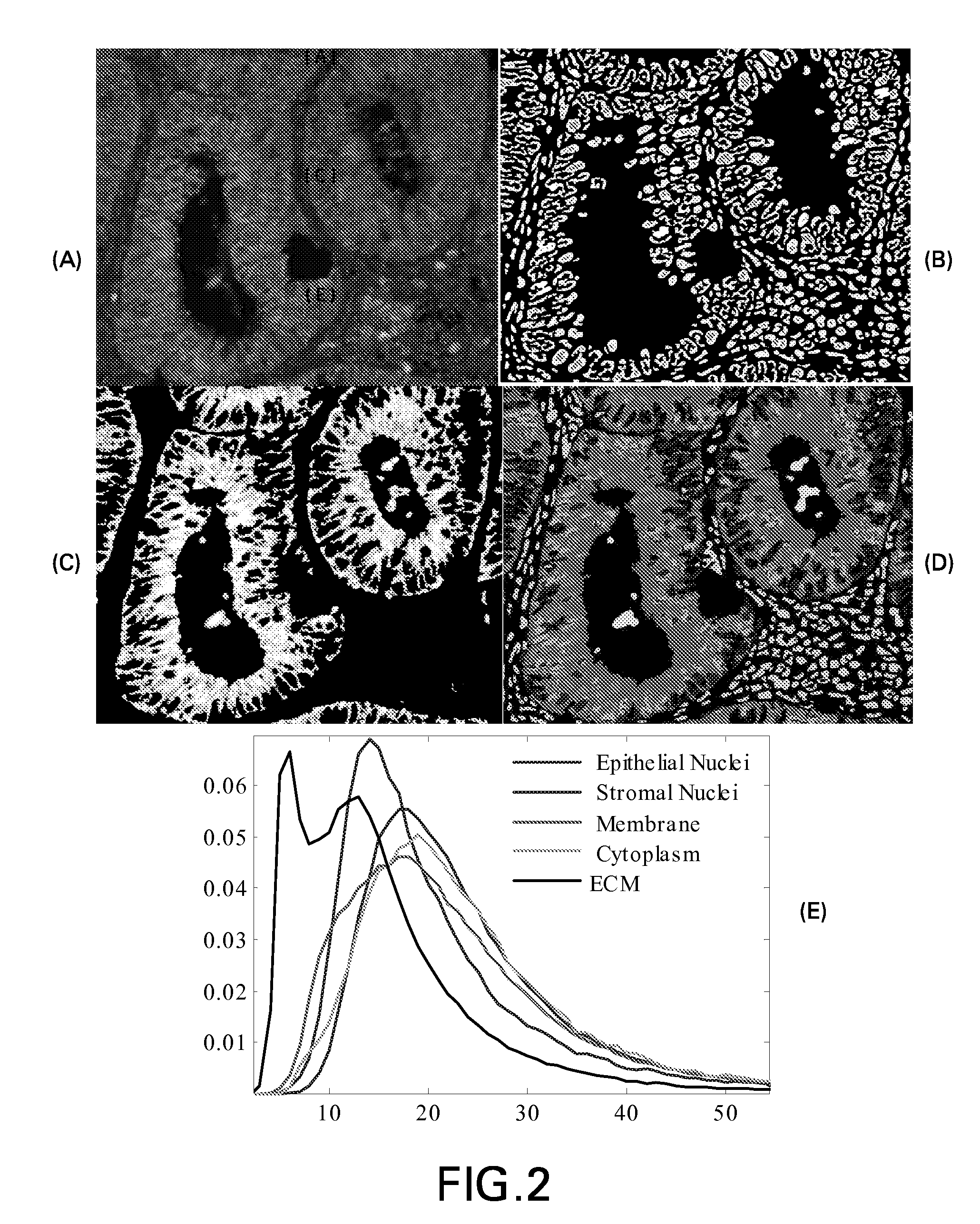 System and methods for analyzing images of tissue samples