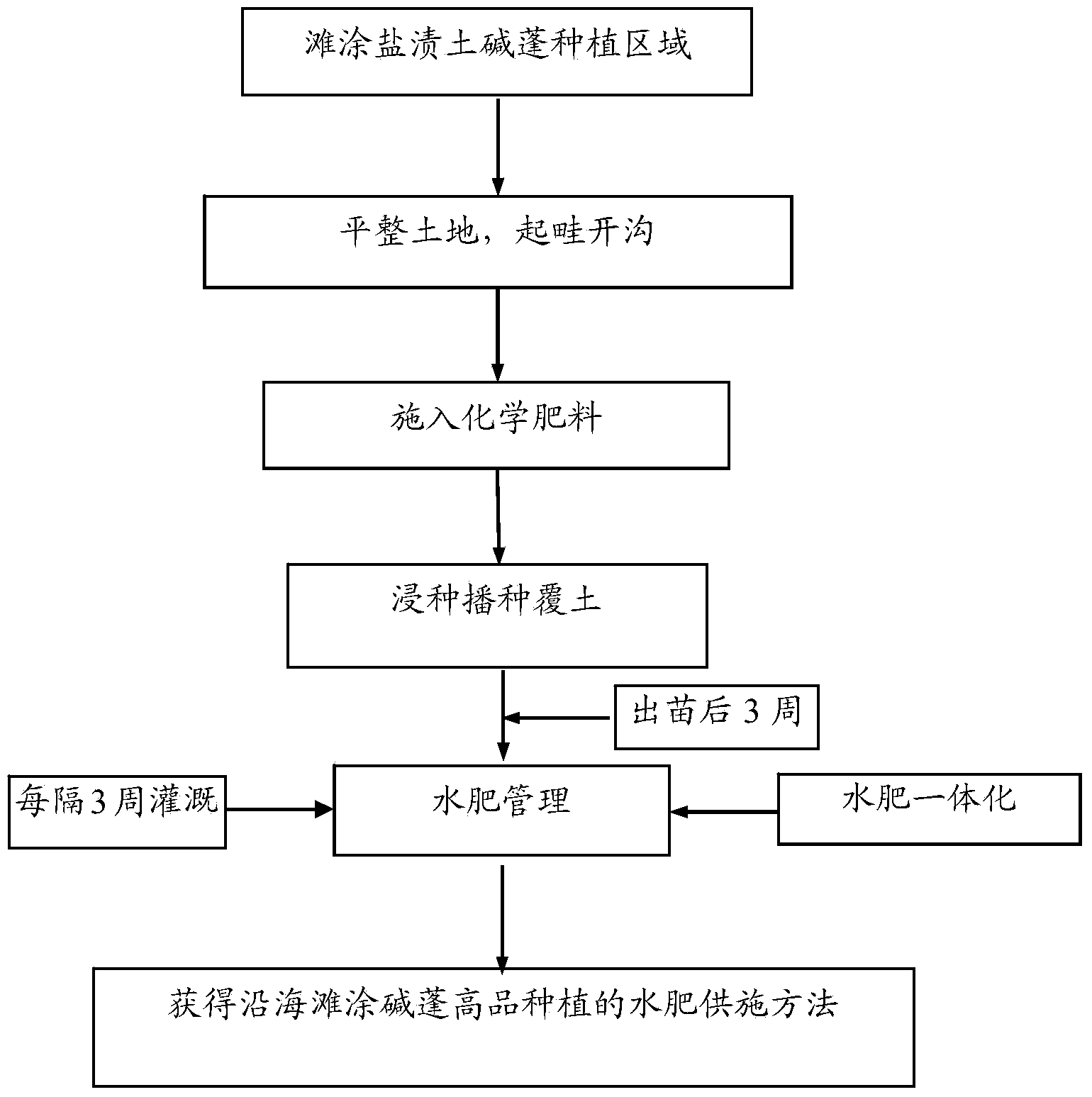 Method for supplying and applying water and fertilizers for high-quality cultivation of suaeda salsa on coastal mud flat