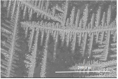 A kind of method for preparing silicon dioxide/titanium dioxide composite film containing dendritic pore structure on substrate