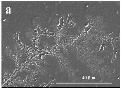 A kind of method for preparing silicon dioxide/titanium dioxide composite film containing dendritic pore structure on substrate