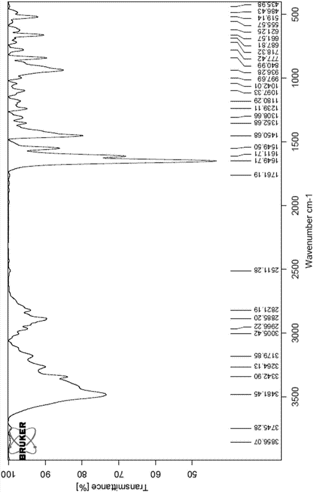 Huperzine A polymorphic substance and preparation method thereof, and medicinal composition