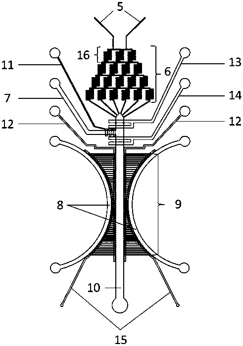 Micro-fluidic chip for cell migration and preparation method of micro-fluidic chip