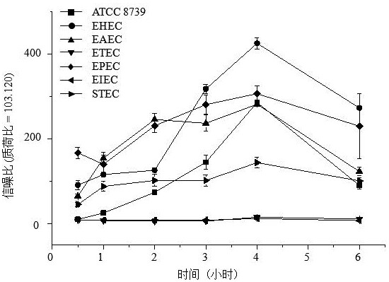 Kits for Escherichia coli and Shigella screening