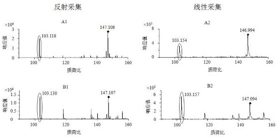 Kits for Escherichia coli and Shigella screening