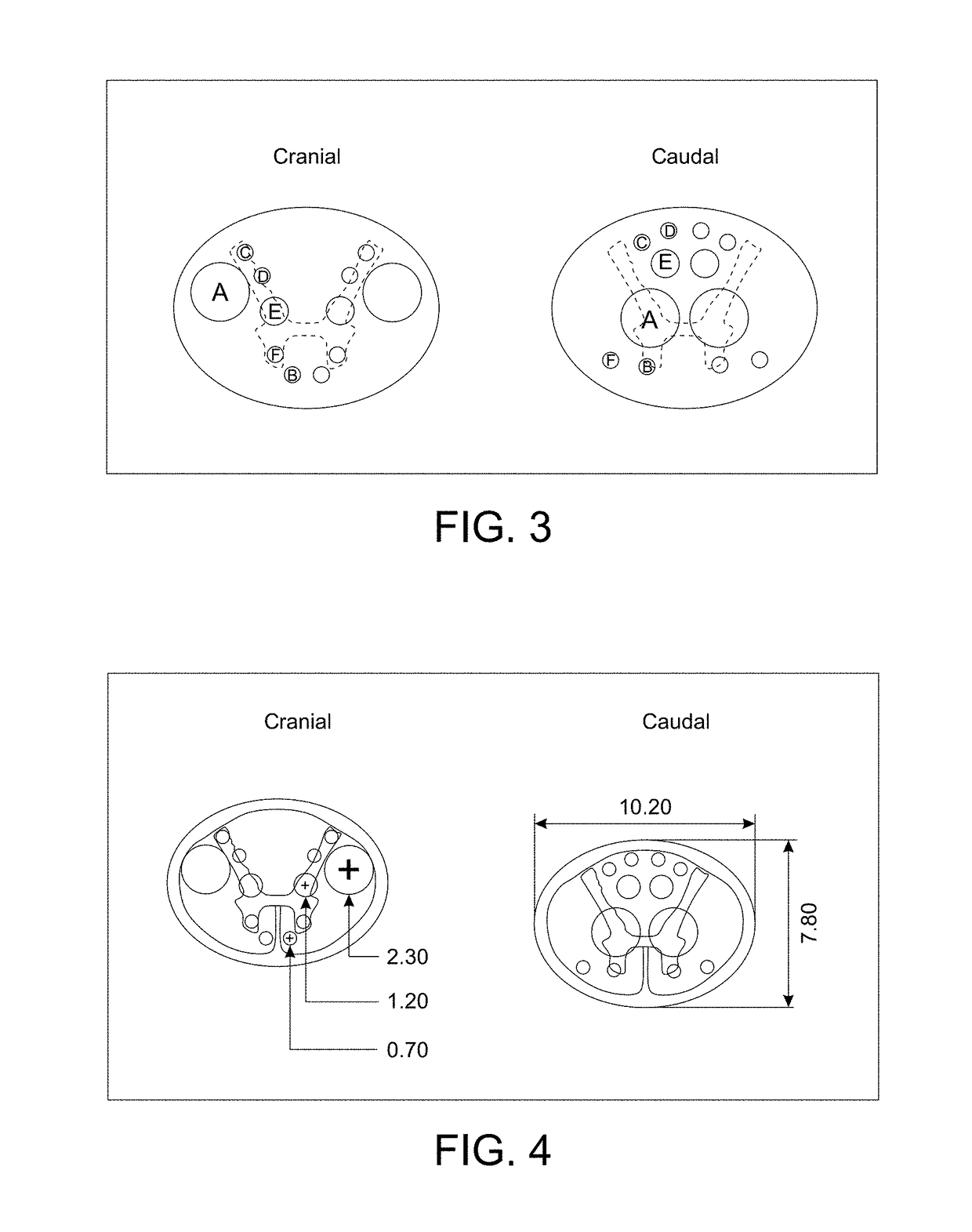 Spinal cord devices and methods for promoting axonal regeneration