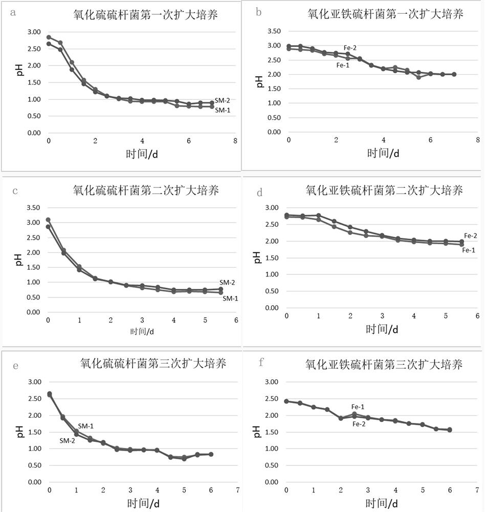 Acidophilic mixed strain, rapid preparation method and application thereof