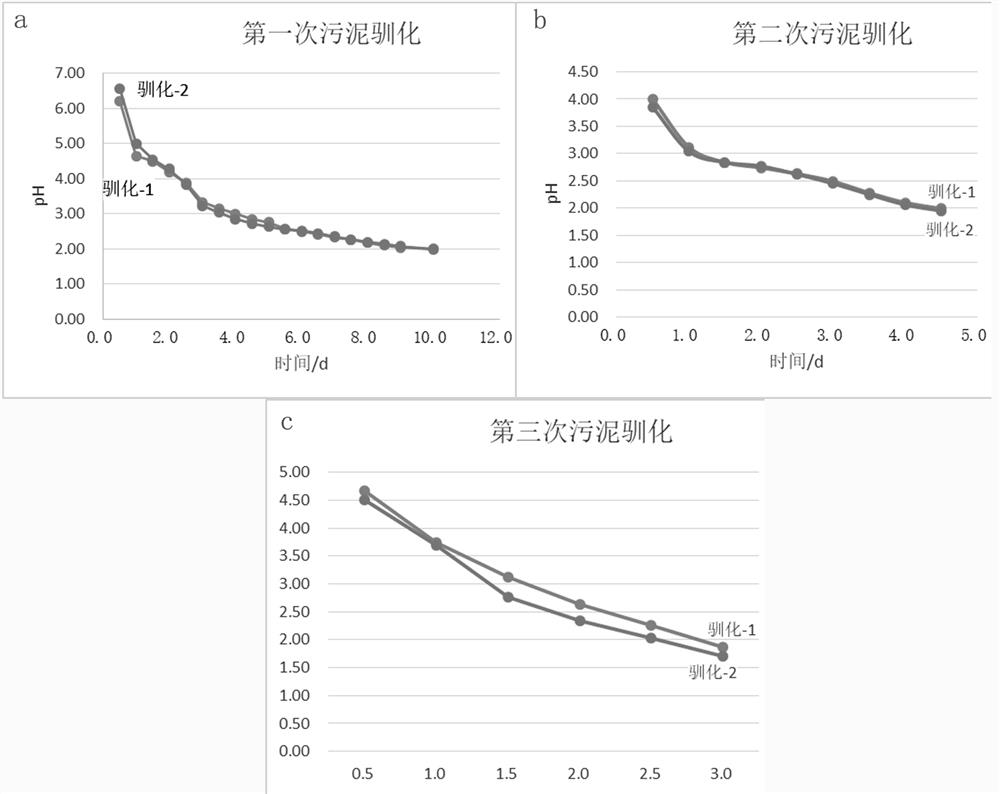 Acidophilic mixed strain, rapid preparation method and application thereof