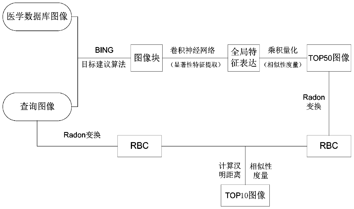 A Medical Image Retrieval Method Based on Deep Learning and Radon Transform