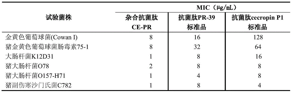 Hybrid antibacterial peptide CE-PR and application thereof