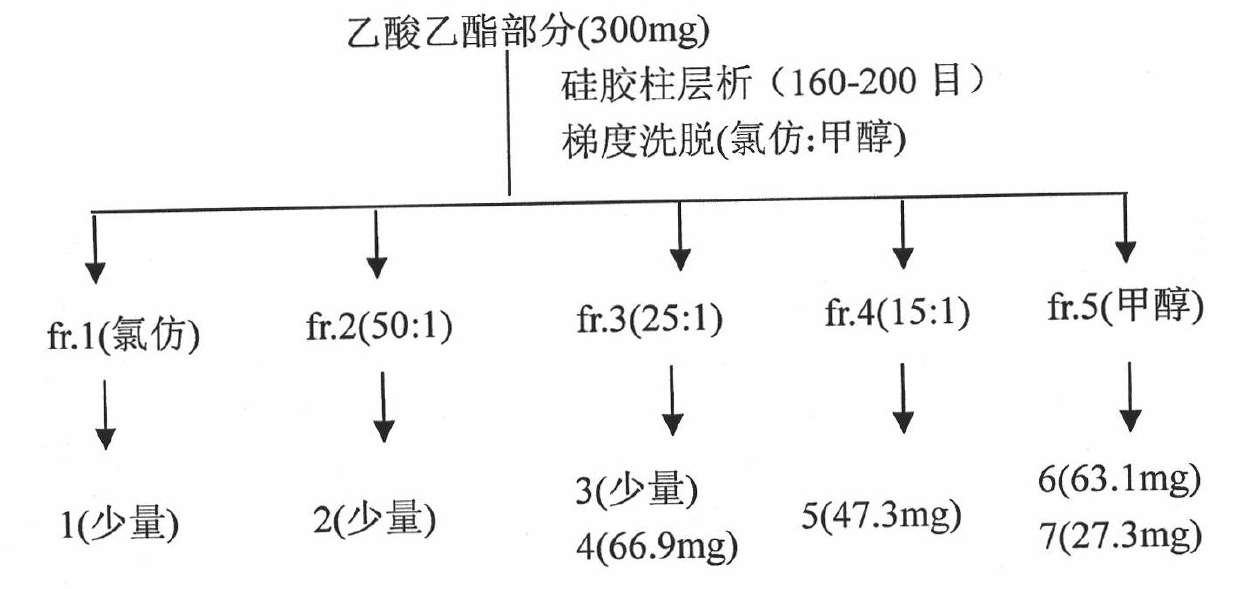 Preparation process for Sappan Wood extract perfusate and application thereof in treating bladder cancer