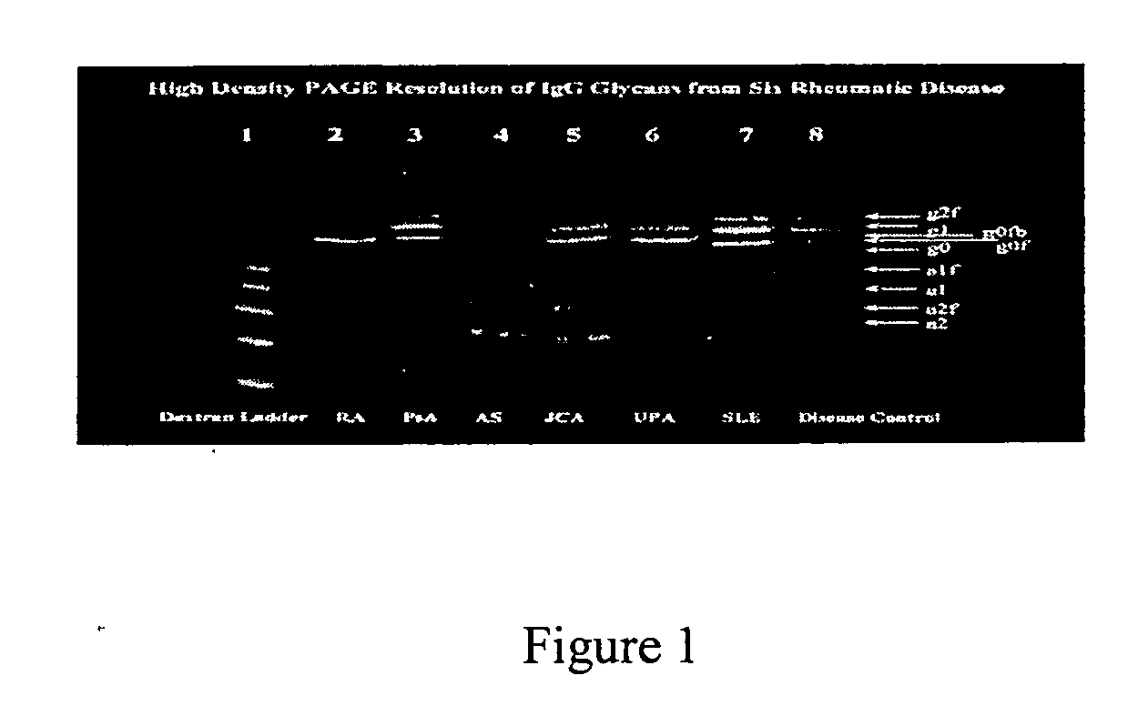 Rapid serum sugar biomarker assay of rheumatoid arthritis