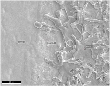 A Surface Treatment Method for Improving the Bonding Performance of Multilayer Plating Materials