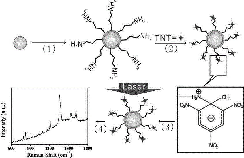 Selective detection method for TNT (trinitrotoluene) by enhanced Raman spectrometry of functionalized shell isolated nanoparticles