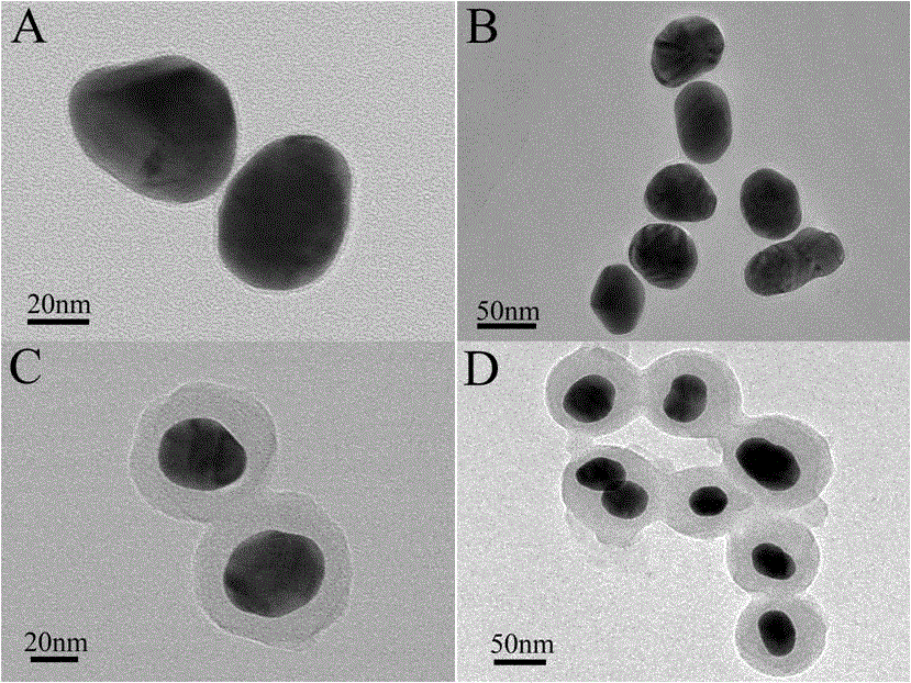 Selective detection method for TNT (trinitrotoluene) by enhanced Raman spectrometry of functionalized shell isolated nanoparticles