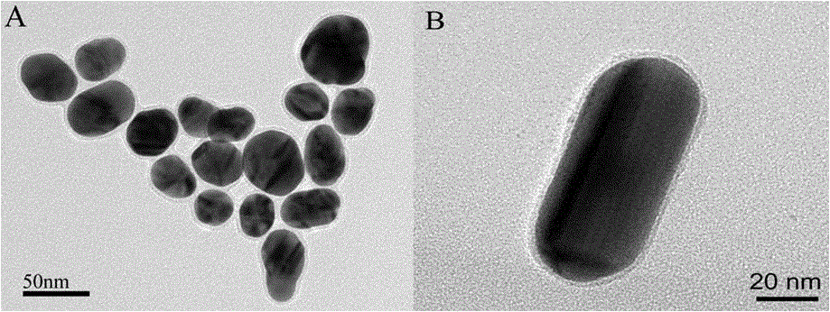 Selective detection method for TNT (trinitrotoluene) by enhanced Raman spectrometry of functionalized shell isolated nanoparticles