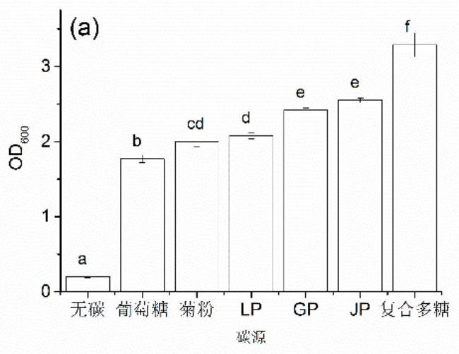Composite fruit powder with effect of regulating intestinal flora and preparation method of composite fruit powder