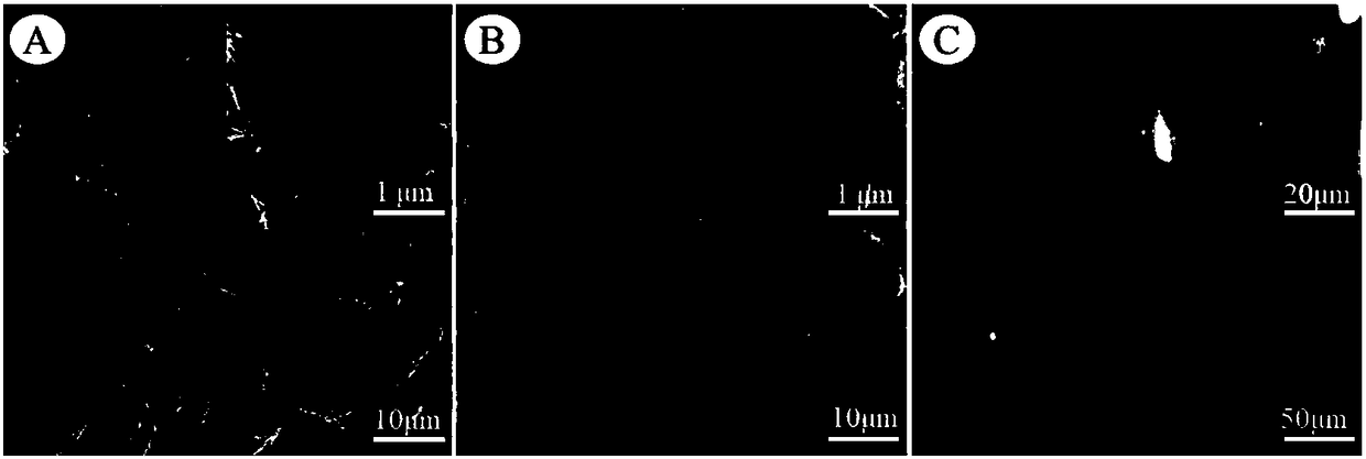 Detection method and detection device for methylglyoxal content in honey