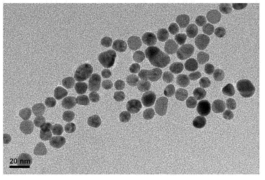 Process for preparing gold nano particles through reduction of chloroauric acid by catalase