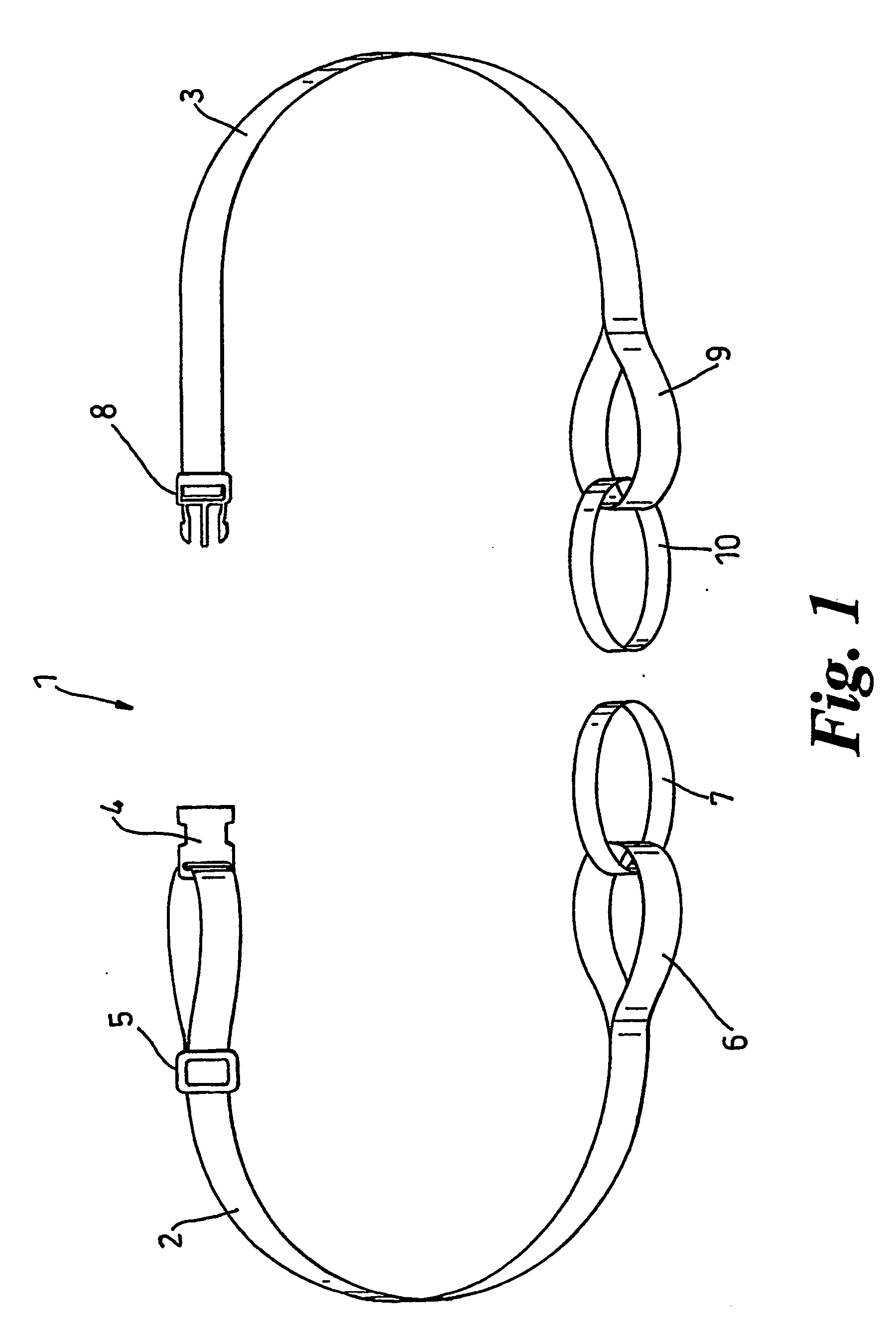 Ski carrying device