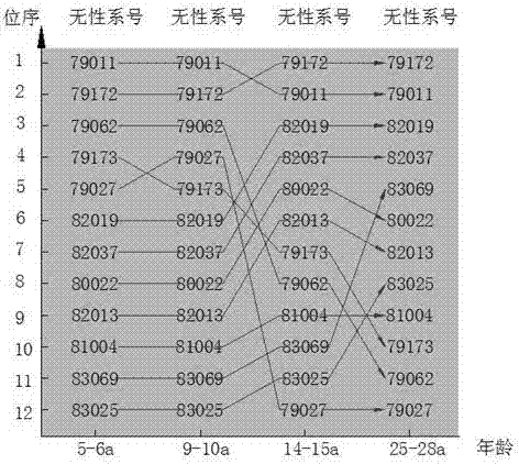 A method for selecting fine Chinese fir clones according to traits during felling