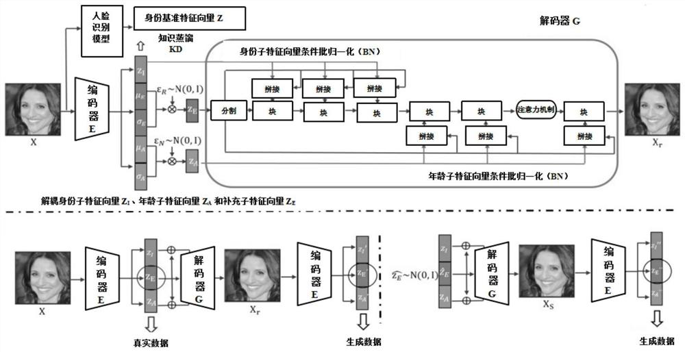 Face image processing model training method and device, electronic equipment and storage medium