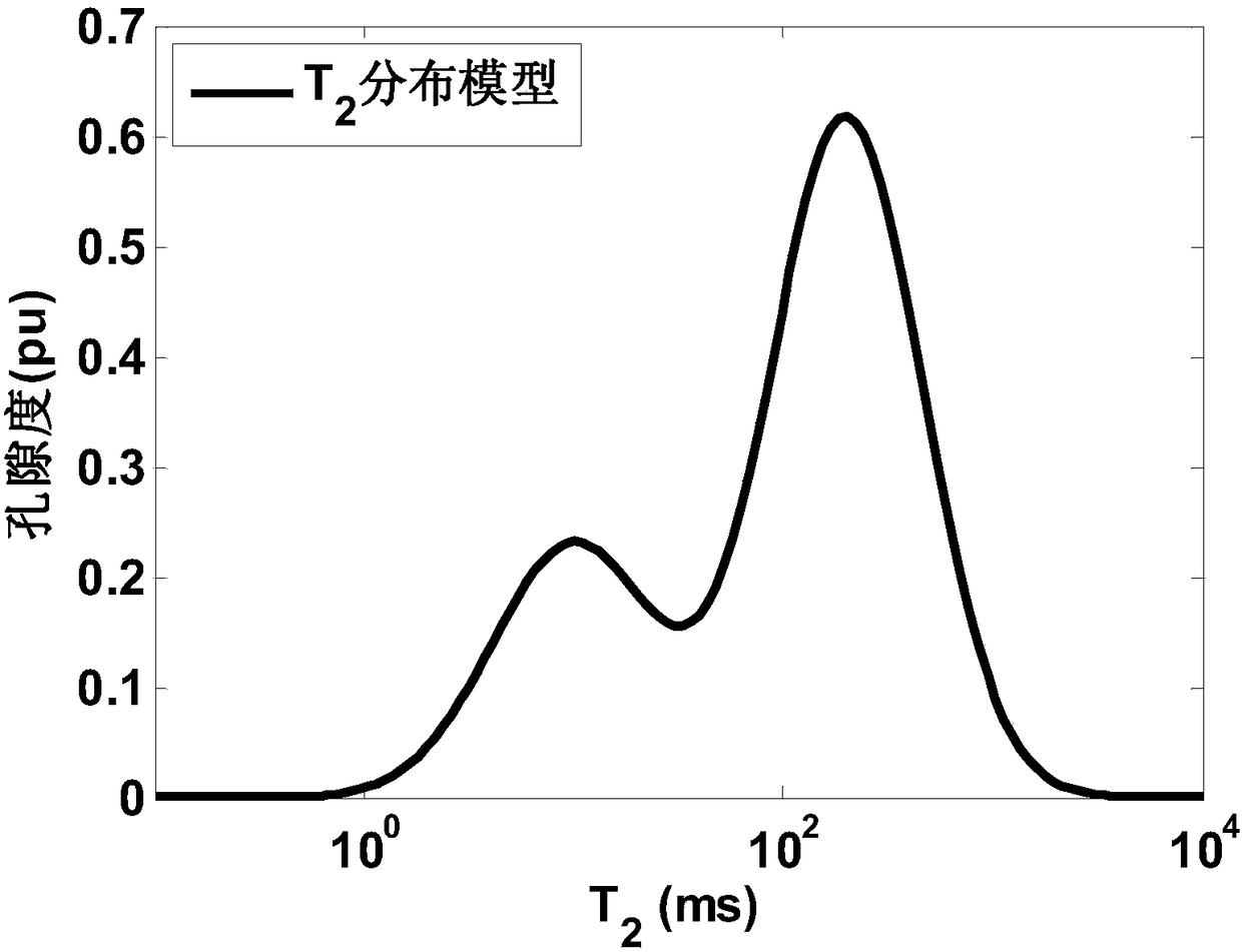 NMR echo data inversion method and device