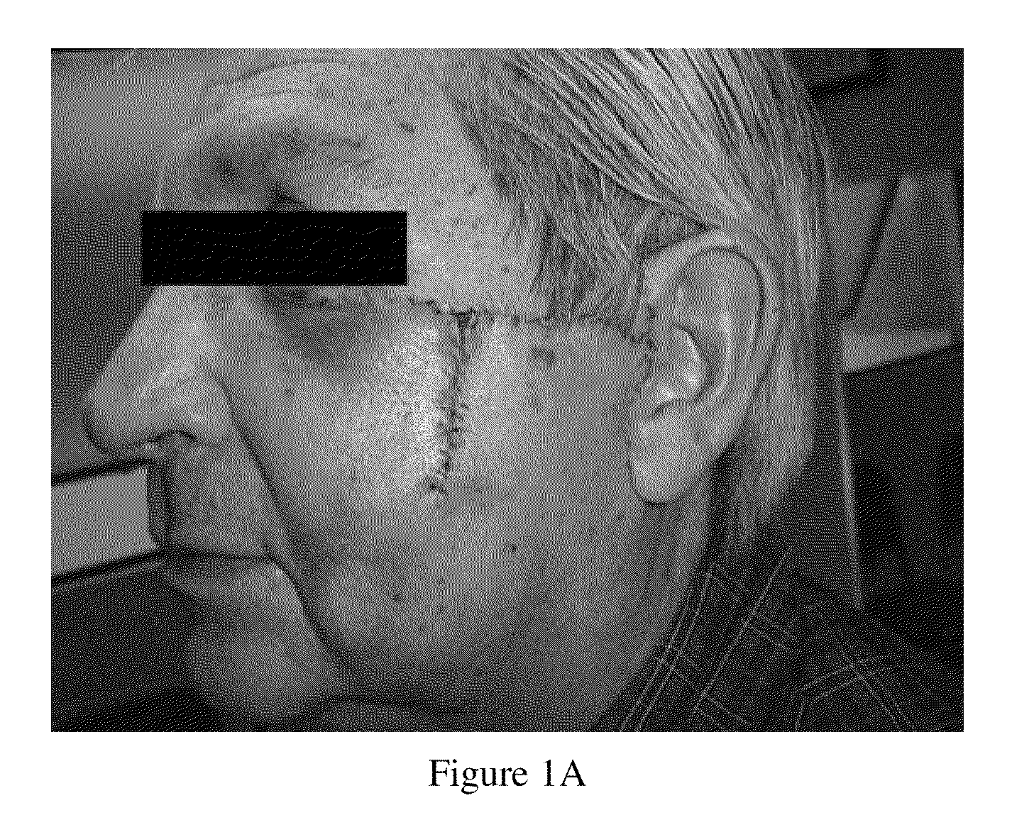 Silicone gel-based compositions for wound healing and scar reduction