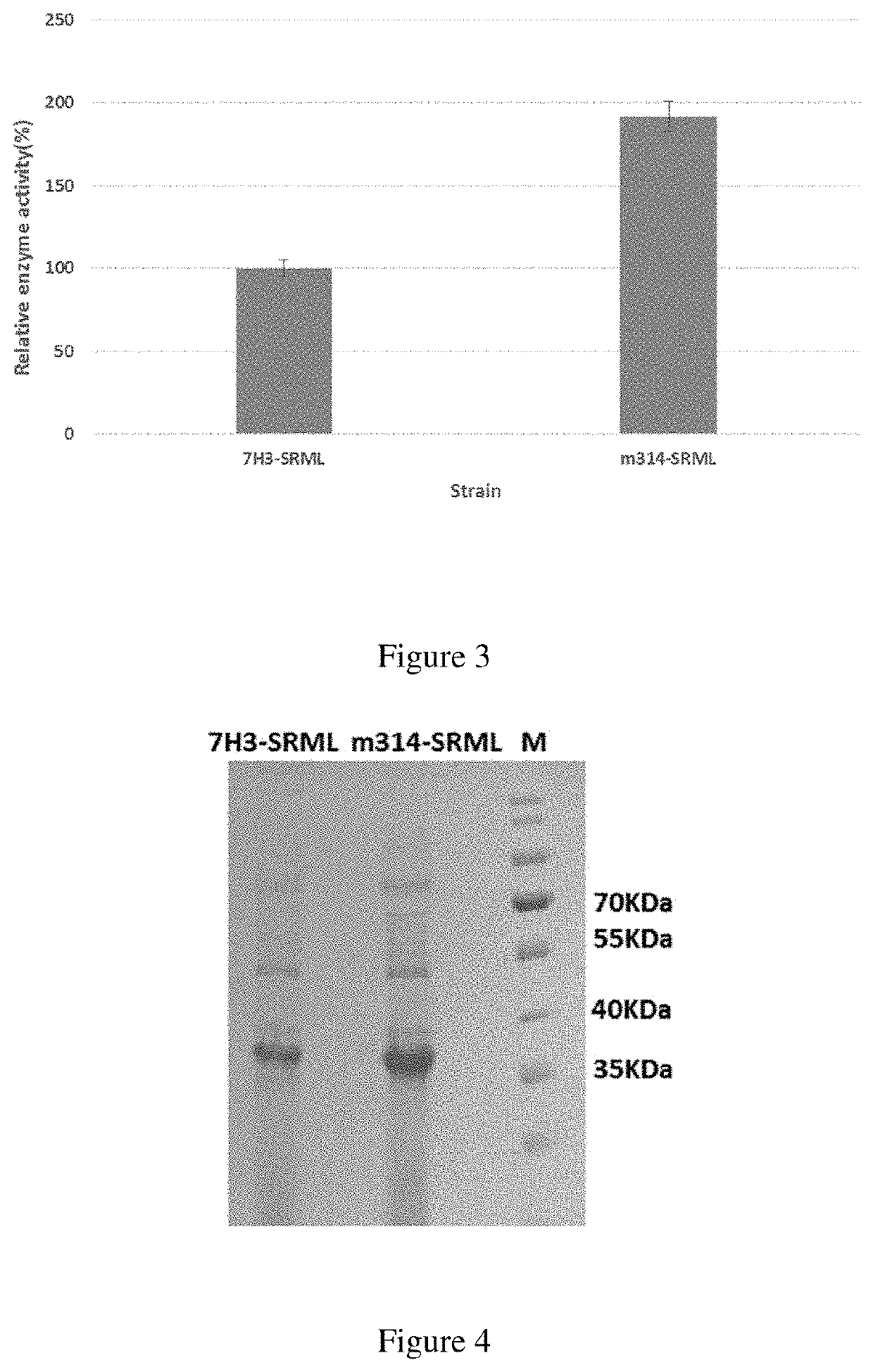 Pichia pastoris mutant strain for expressing exogenous gene