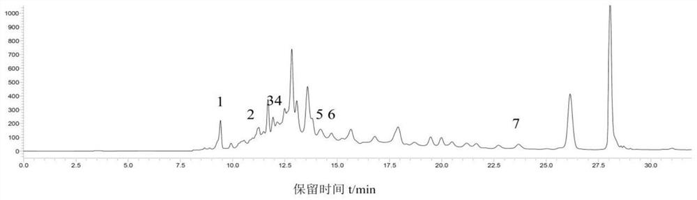 A kind of camellia antibacterial hand sanitizer and preparation method thereof