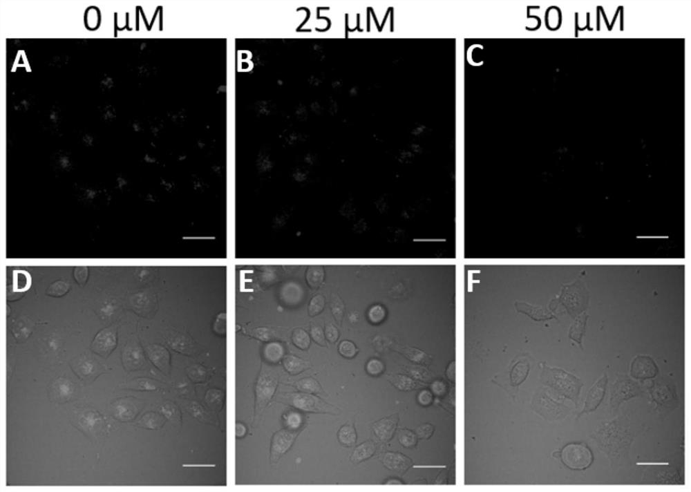 O-phenanthroline ruthenium complex photosensitive dye and its preparation method and use