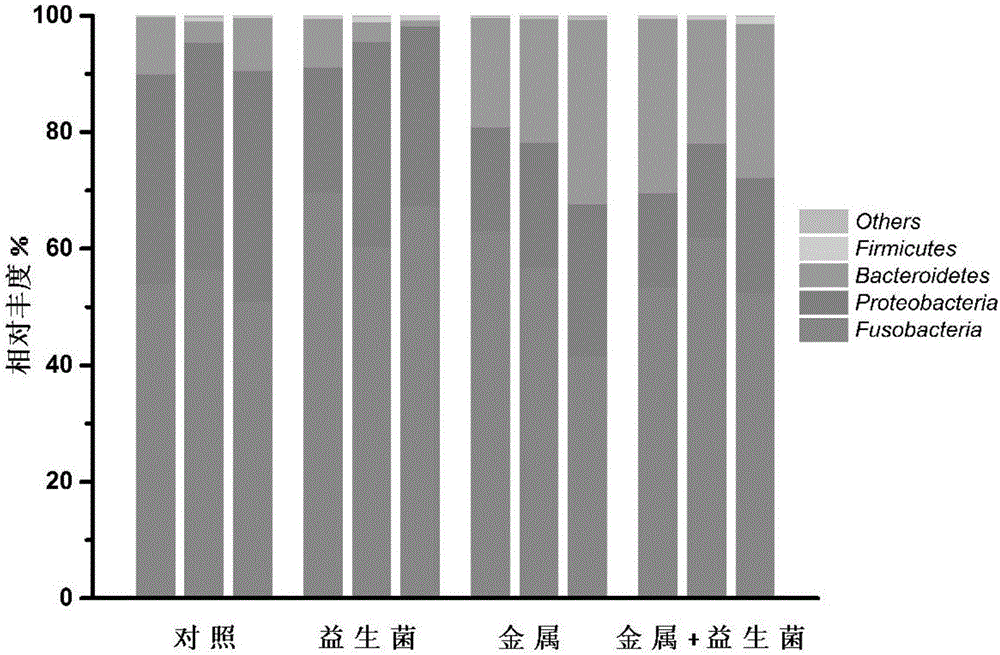 Probiotics feed capable of relieving aluminium toxicity of tilapia and application thereof