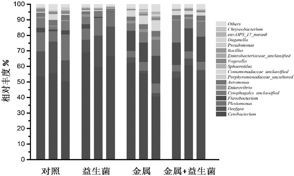 Probiotics feed capable of relieving aluminium toxicity of tilapia and application thereof