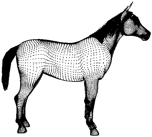 Horse body measurement system and data correction method based on 3D