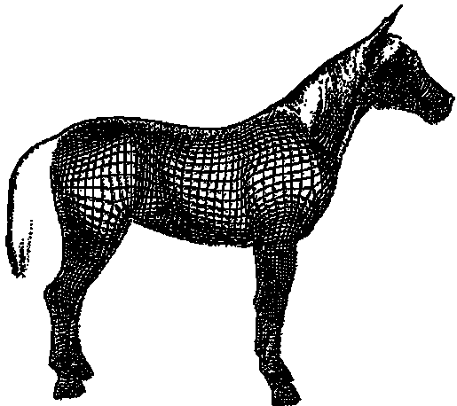Horse body measurement system and data correction method based on 3D