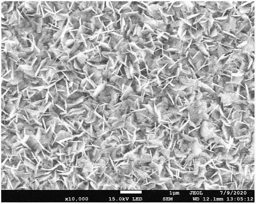 Preparation method of tungsten oxide/ammonium molybdate composite film for electrochromism