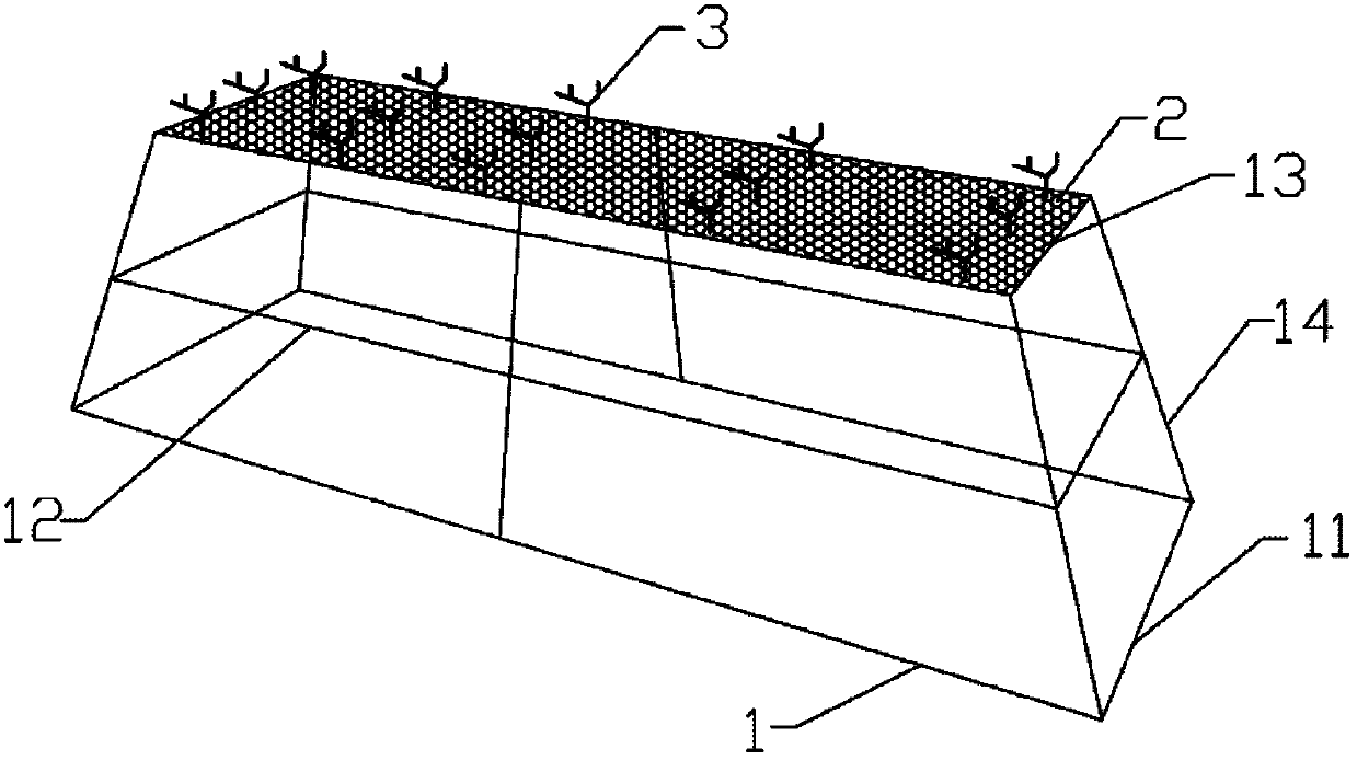 Hermatypic coral field culturing method and device suitable for high-sedimentation water environment