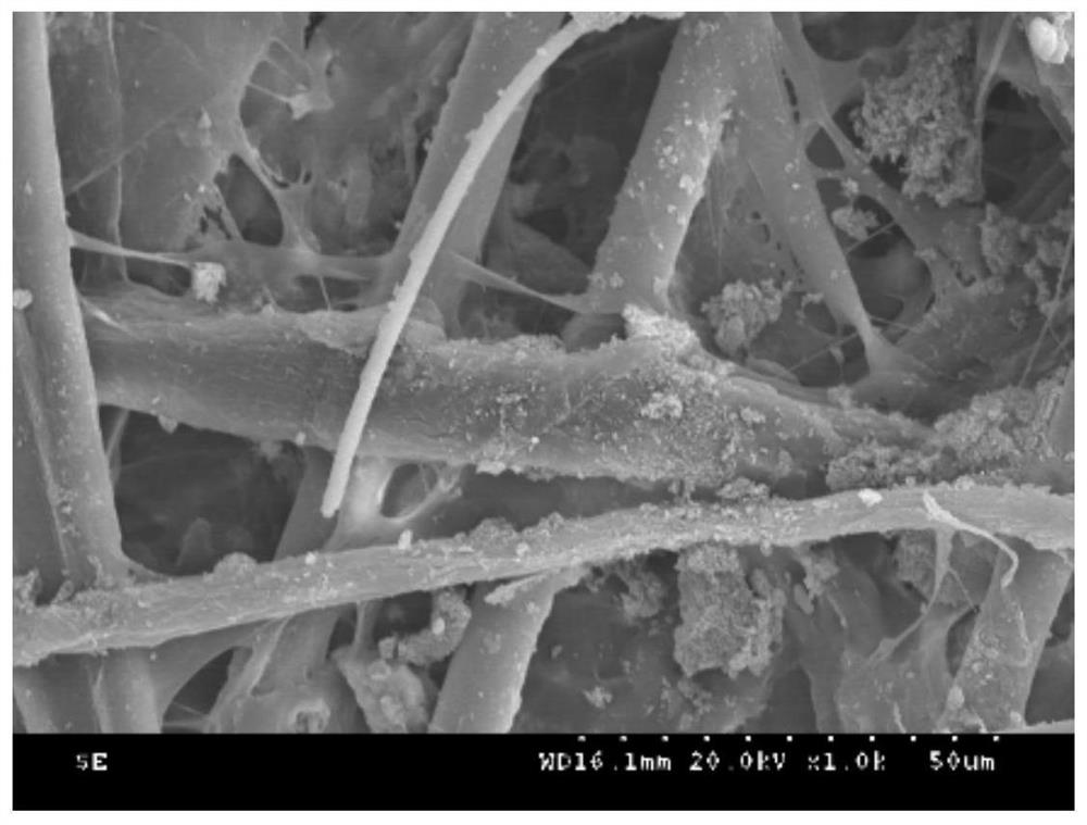 Degradable biomass composite matrix plate and preparation method thereof