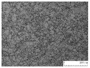 Metallographic corrosive liquid for bimetal composite pipe with transition layer and etching method of metallographic corrosive liquid